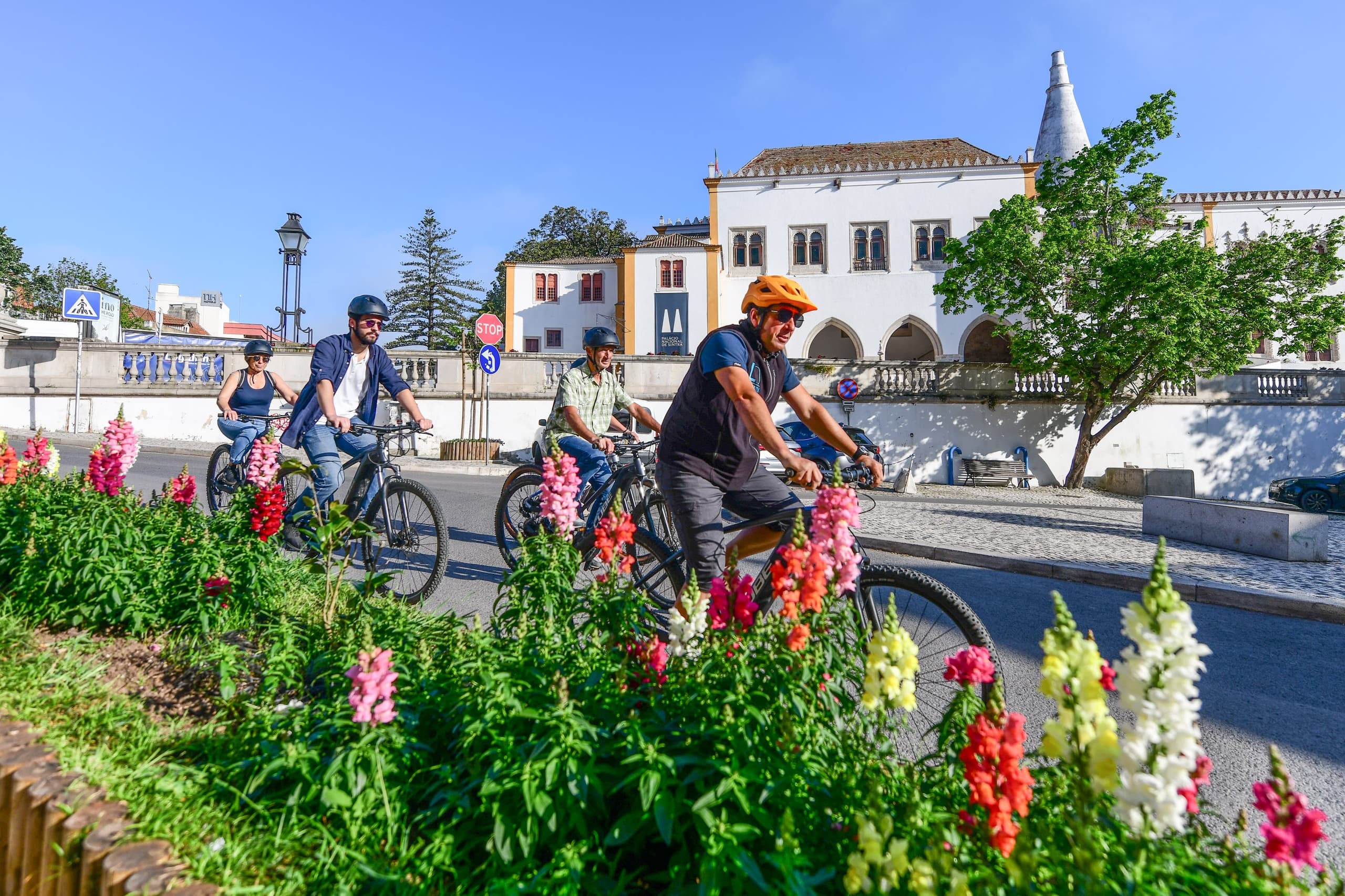 Guided bike tour cycling past floral promenade in Lisbon