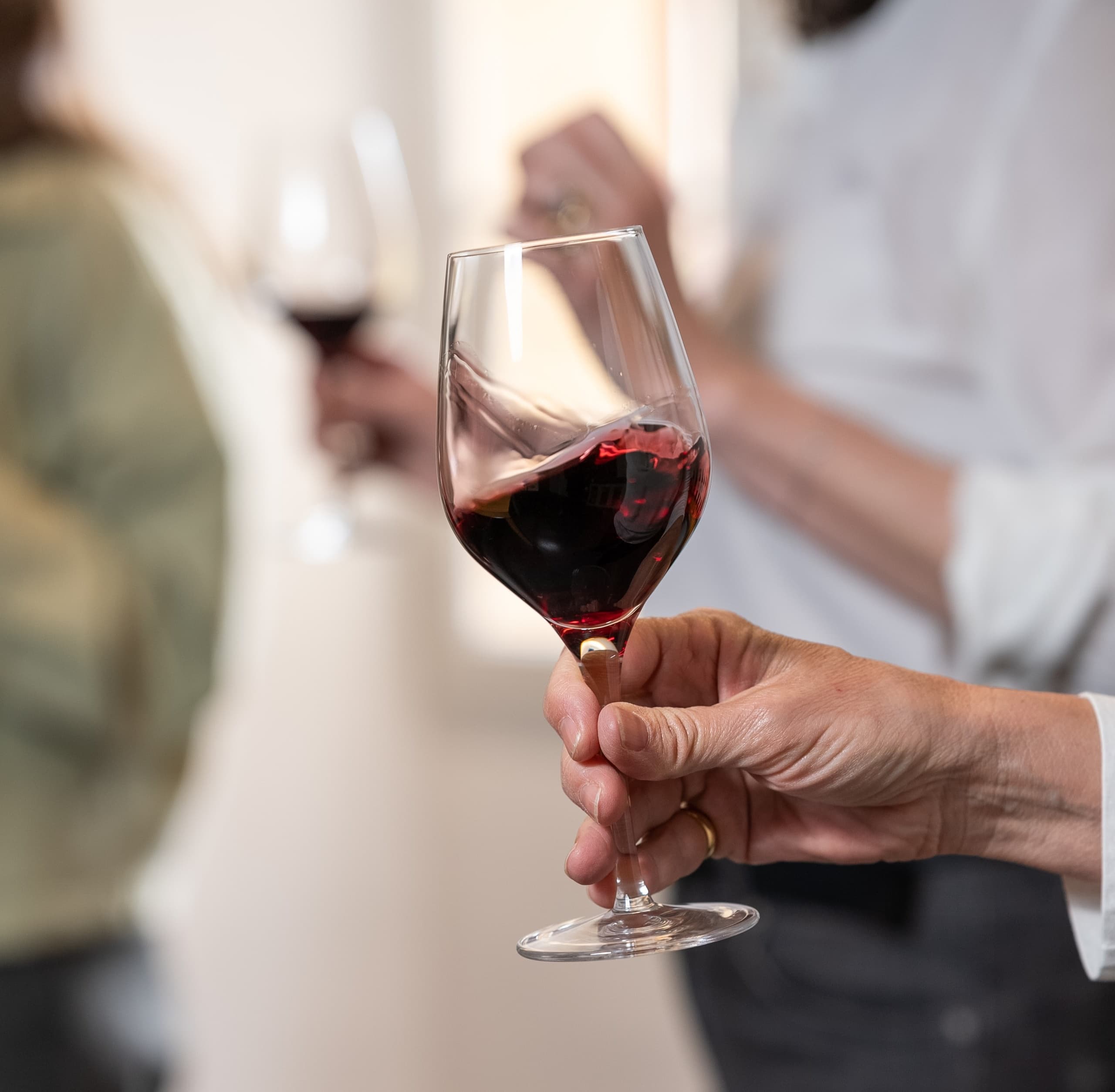 Wine Tasting at Château Olivier in Bordeaux