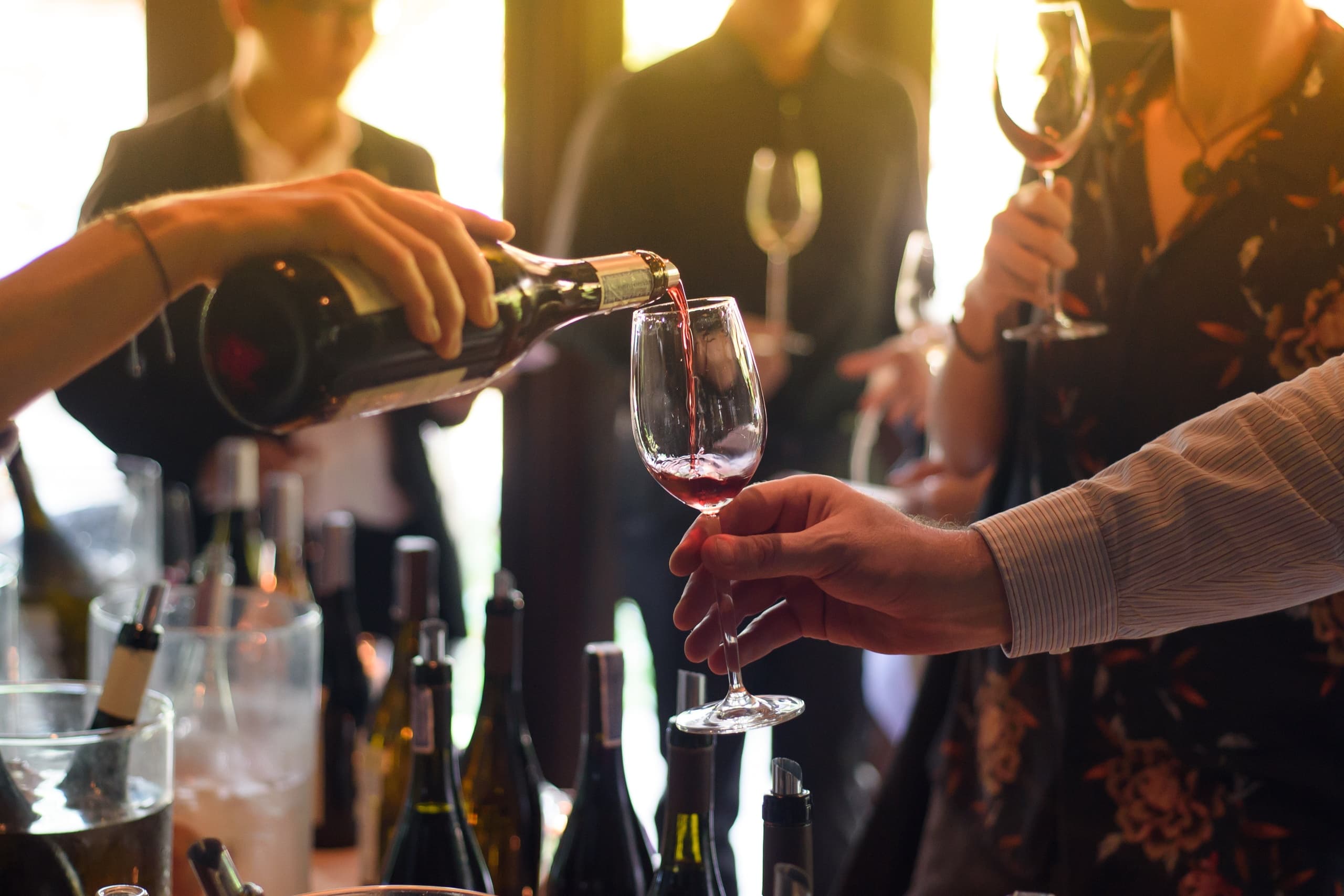Italian Wine Tasting Experience with Bologna Tour
