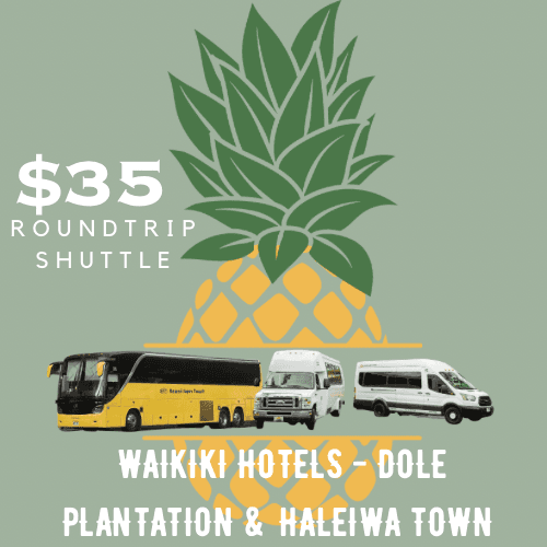 Graphic shuttle ad featuring pineapple and buses, Oahu tour shuttle