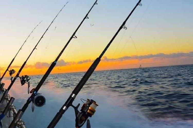 Epic Marine Charters fleet