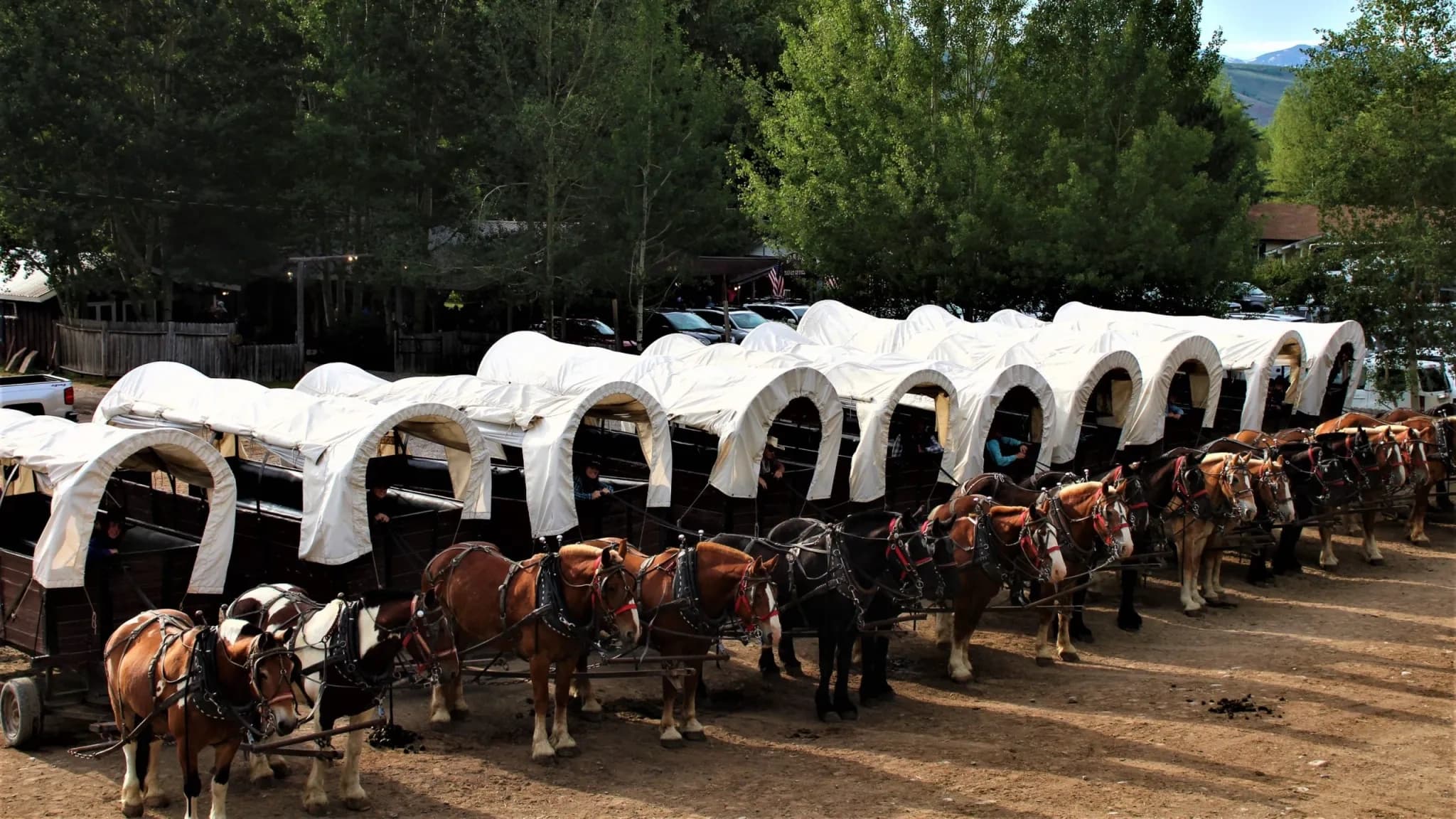 Land Adventures at Snow King Resort: Chuckwagon Dinner & Entertainment