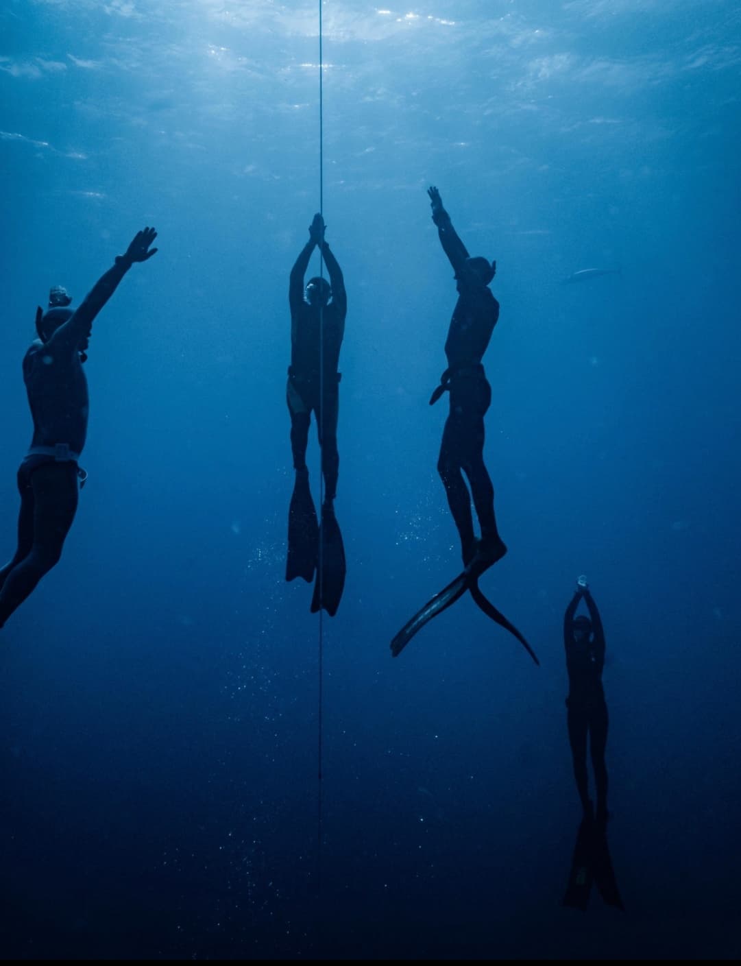 NAUI Freediver Intermediate Course in Monterey, California