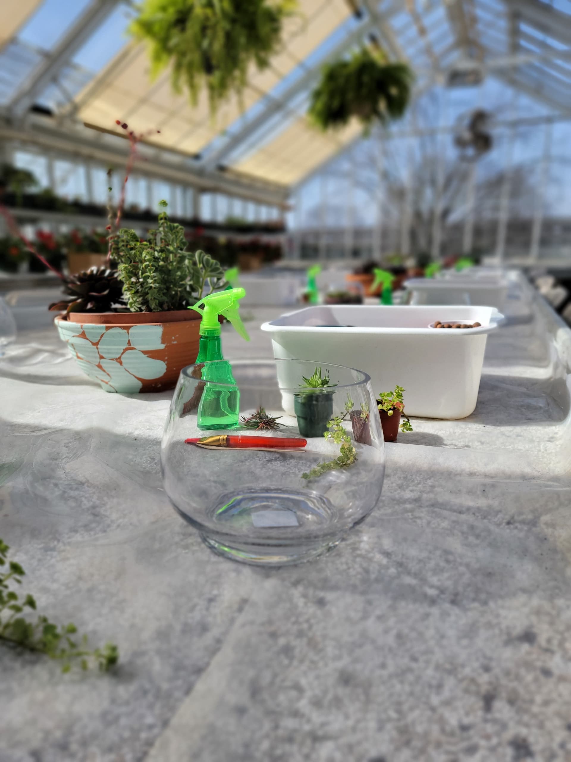 Make a Miniature World at Parkwood Estate: March Break Fairy Garden Workshop photo 1