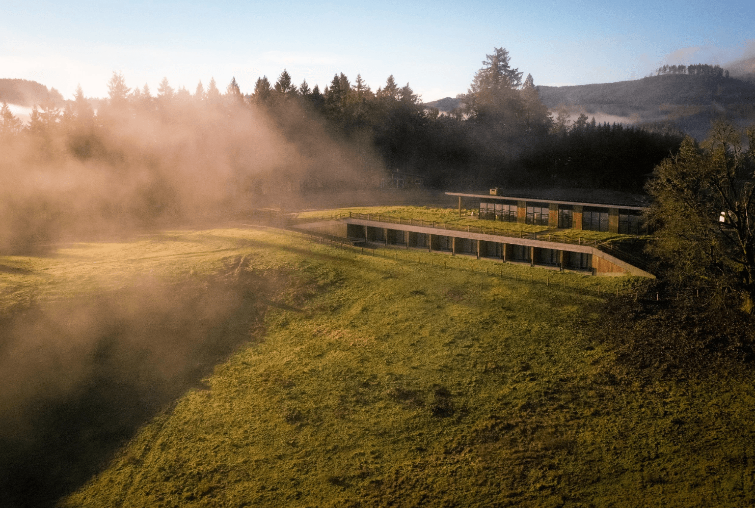Willamette Masterclass: Exclusive Wine Journey in Carlton, OR