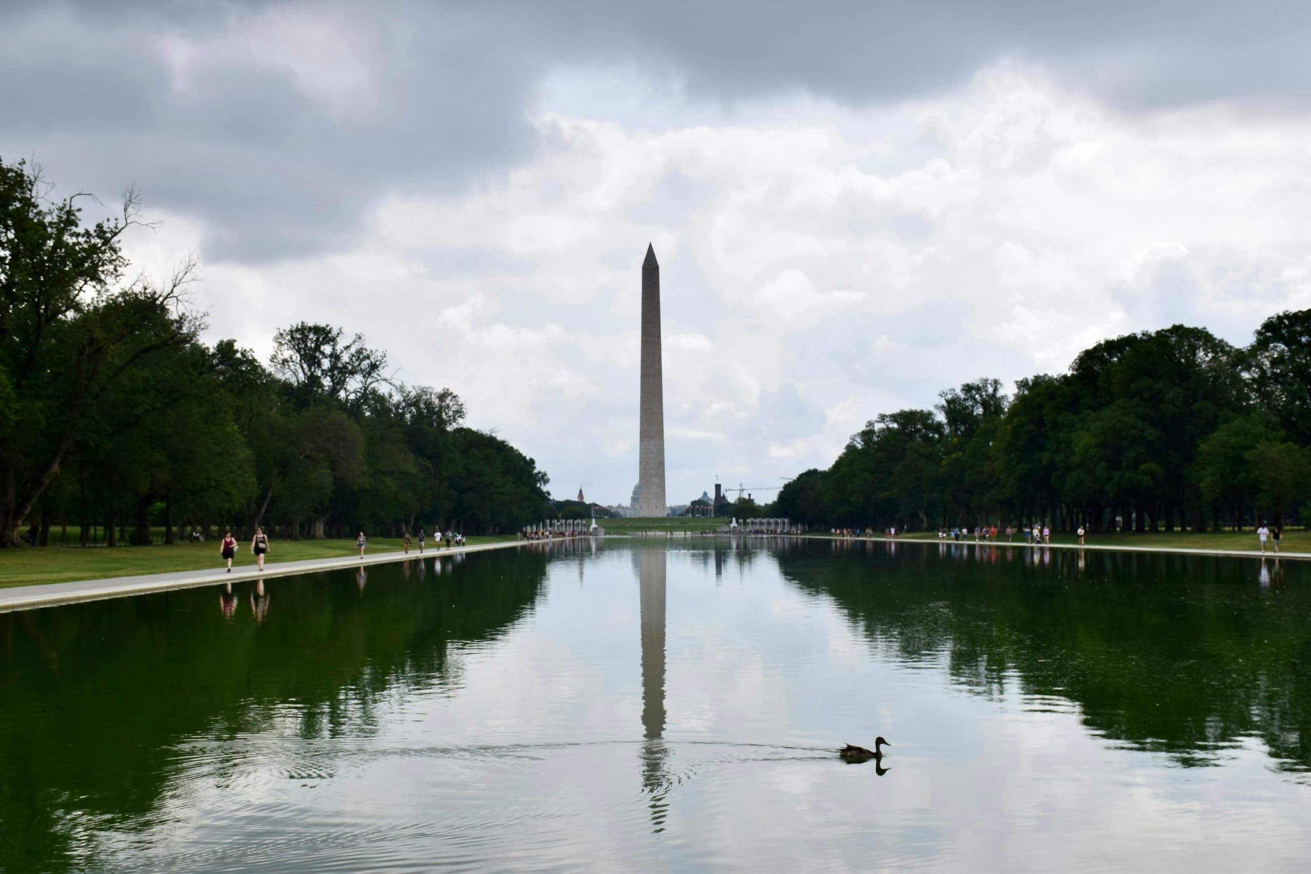 Washington Monument reflected in reflecting pool, Washington DC