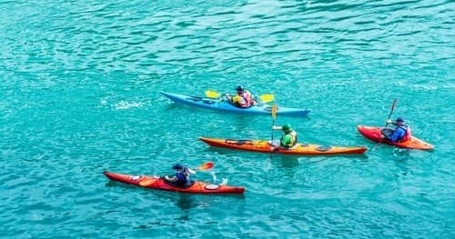 Safari Town Surf Shop fleet