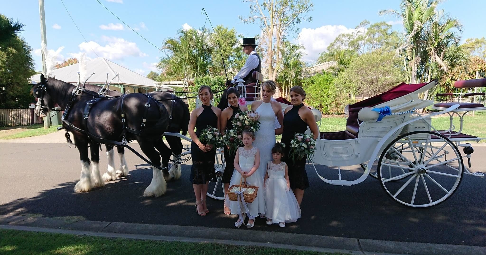 Wedding carriage with horses and bridal party posed on suburban street