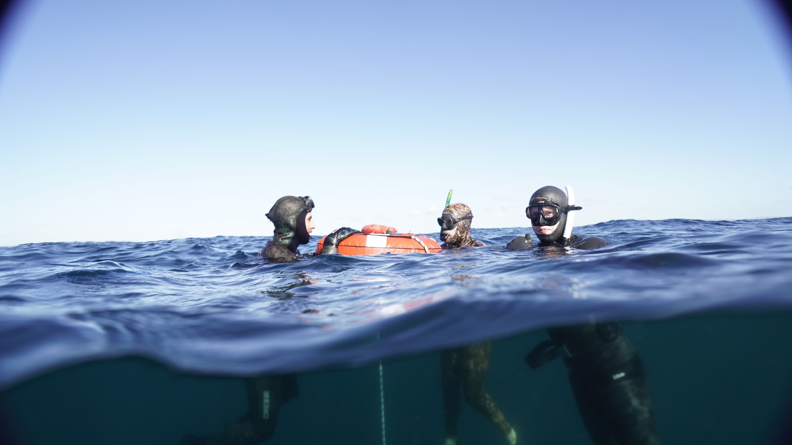 Water Activities & Freediving at Woebegone Freedive in Jervis Bay