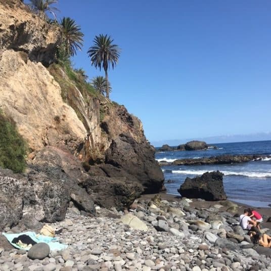 Costa Coastal Hike with Natura Xtreme Tenerife in Puerto de la Cruz