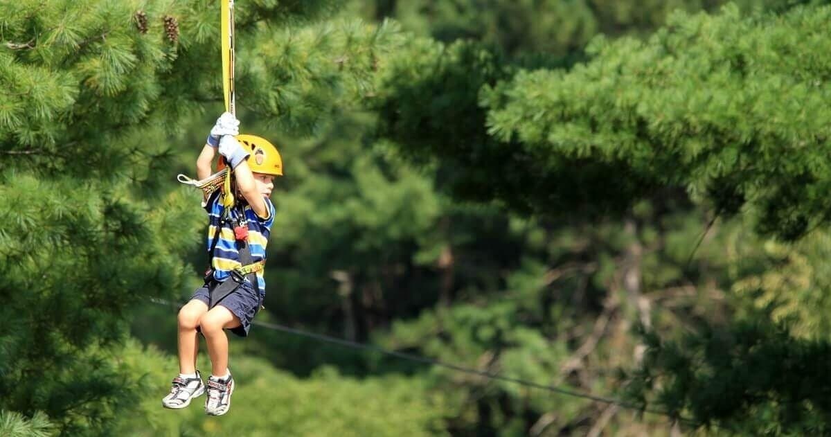 DragonFly Zipline! Kids Adventure in Rockbridge, Ohio