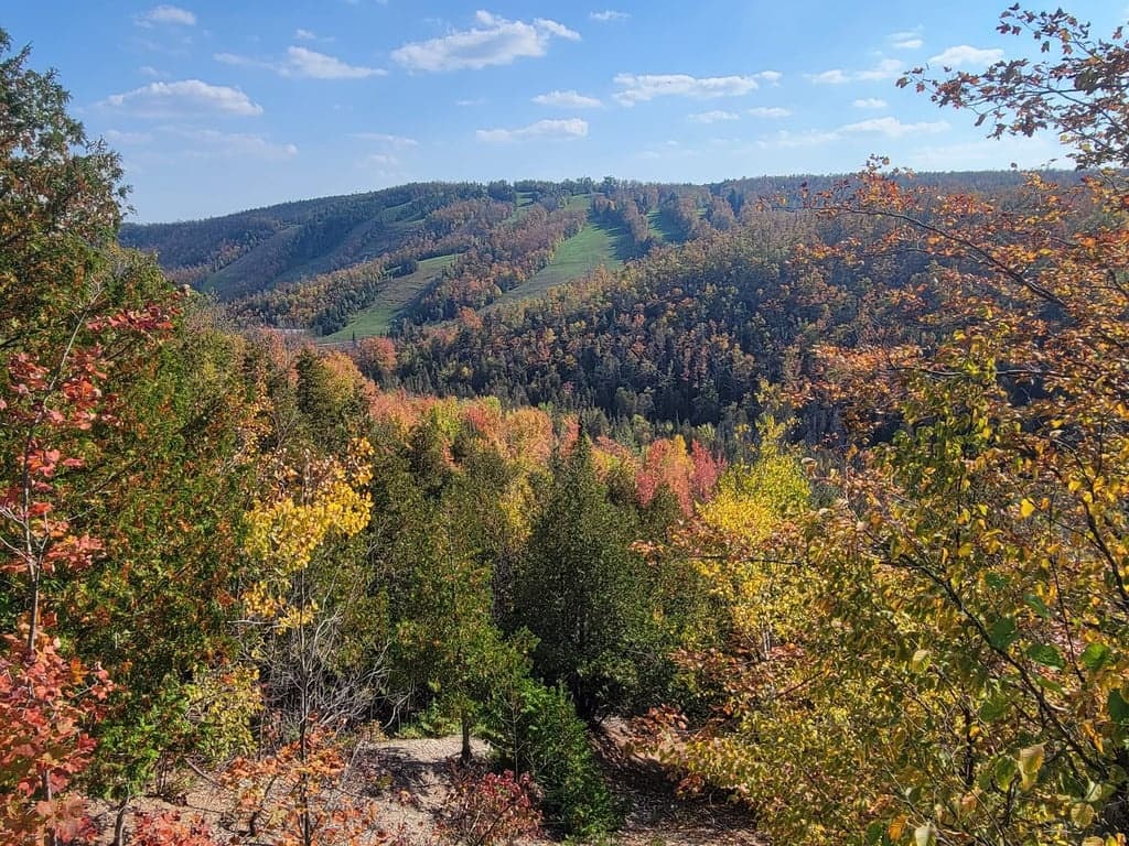 Crimson Trails Adventure: Mono Cliffs to Devil's Glen — Guided Escarpment Hike from Toronto