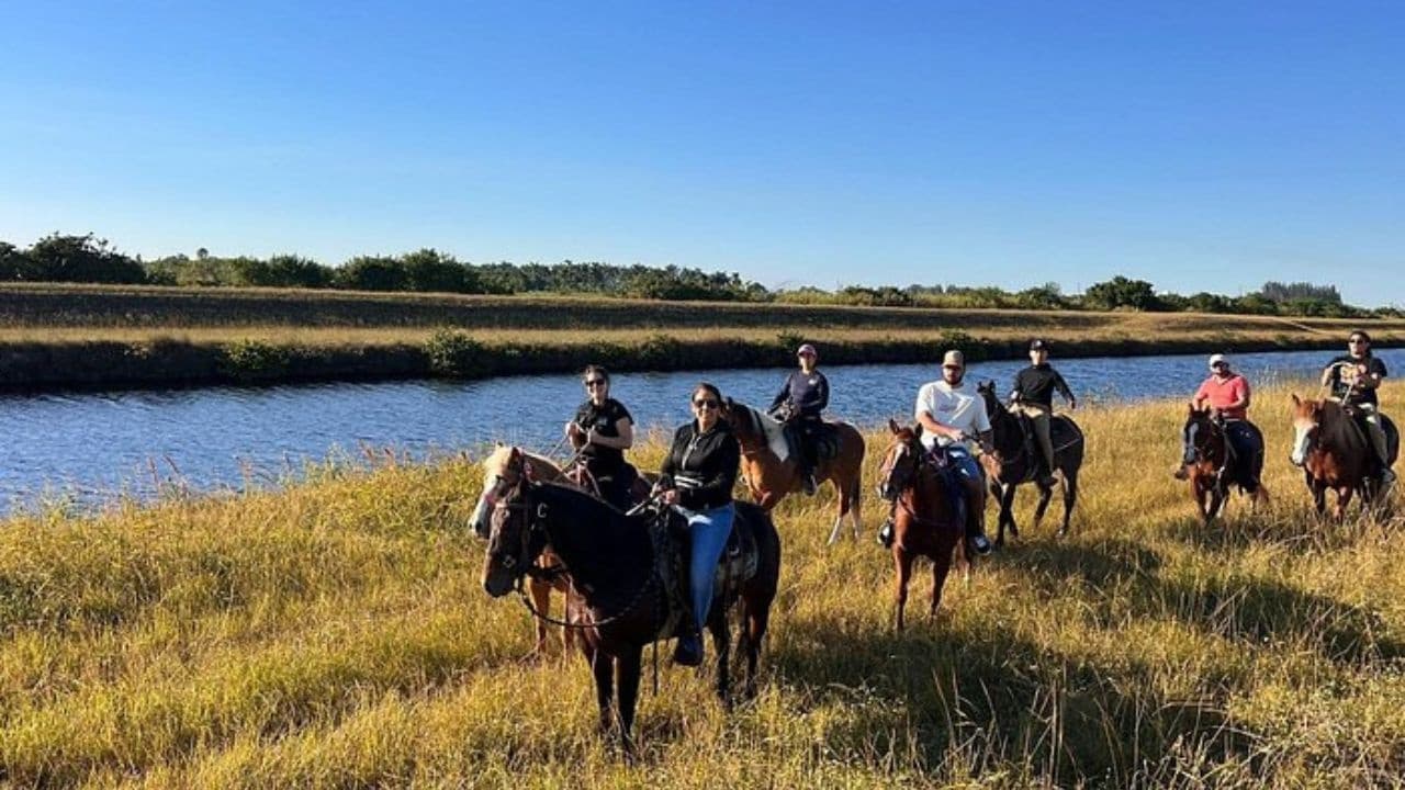 Horseback Riding in Miami Countryside: 1-Hour Guided Trail Ride Near Miami photo 3