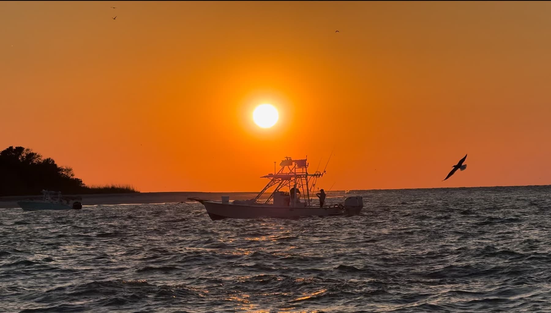 Sunset Cruise on Florida Waterways with Island Time Tours FL