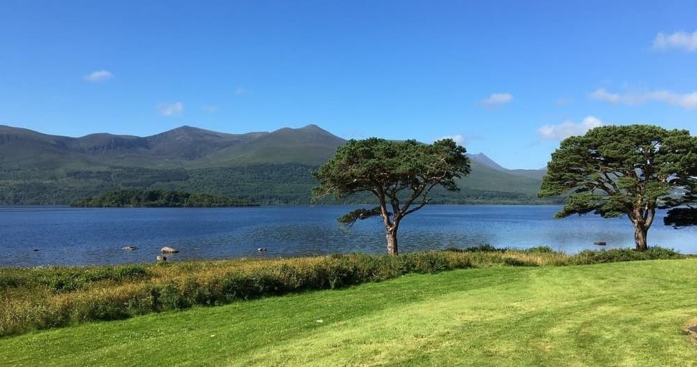 Lakeside view with twin trees and distant mountains, serene hiking spot