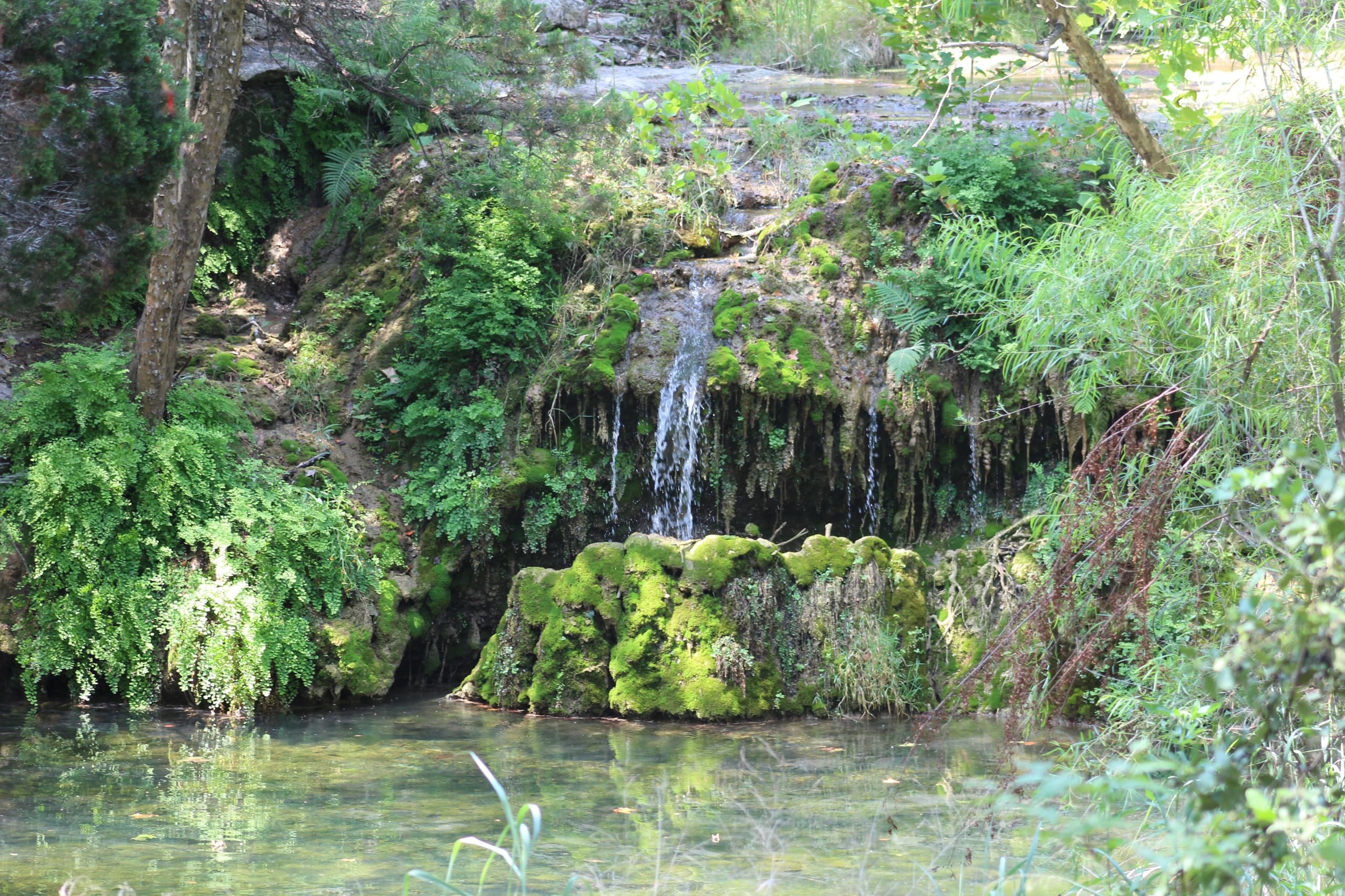 Walk to the Waterfall Wednesdays in Austin, TX