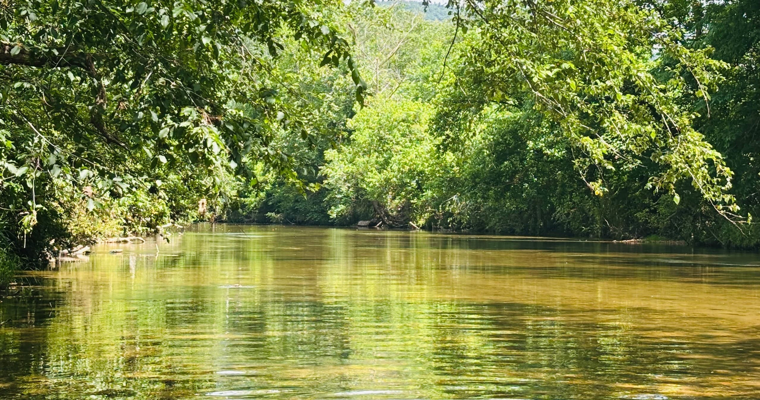Water-Activities & Upper Yadkin Outfitters: Kayaking in North Carolina