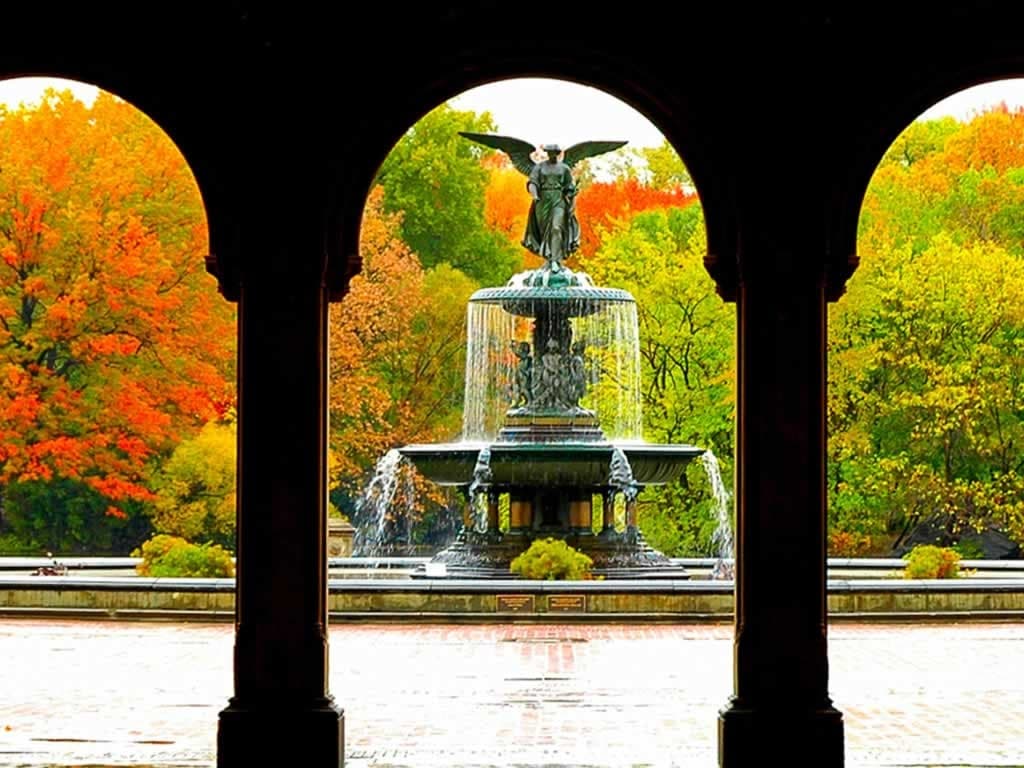 Land Adventures: Central Park Experience by Revolutionary Tours NYC