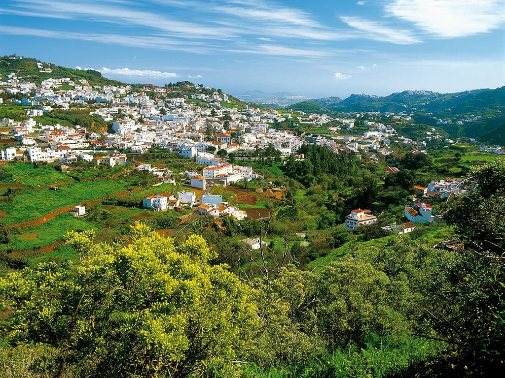 Gran Canaria Island Tour with Tour2B in San Bartolomé