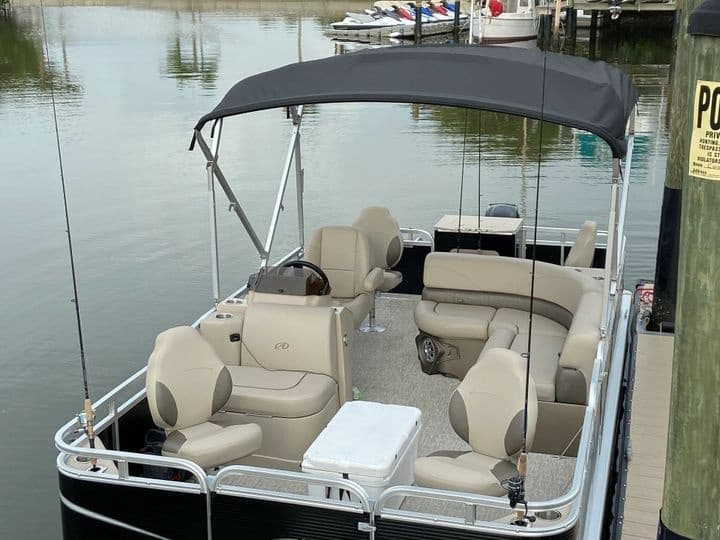 Pontoon boat interior moored at dock, seating and canopy
