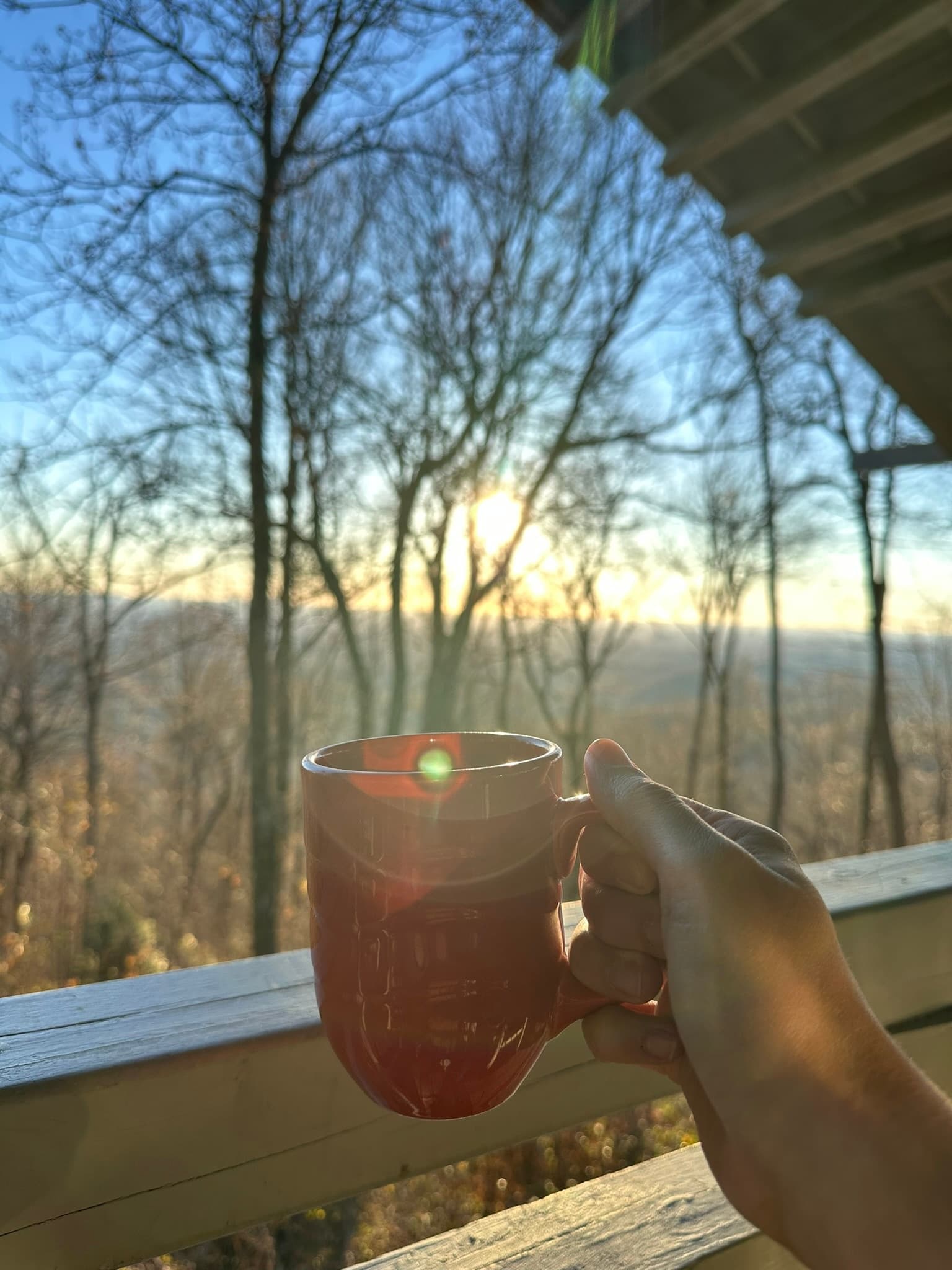 Women-Only Springer Mountain to Hike Inn: 3-Day Appalachian Trail Start photo 4