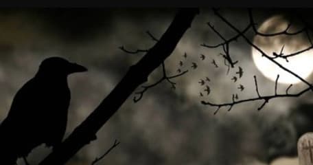 Haunted Galveston Ghost Tour by Historic Galveston Ghost Tours
