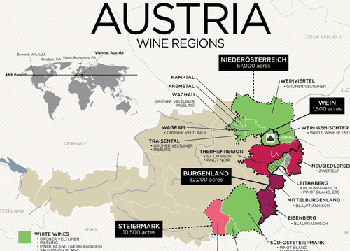 Discover Austrian Wine at Little Washington Winery, VA