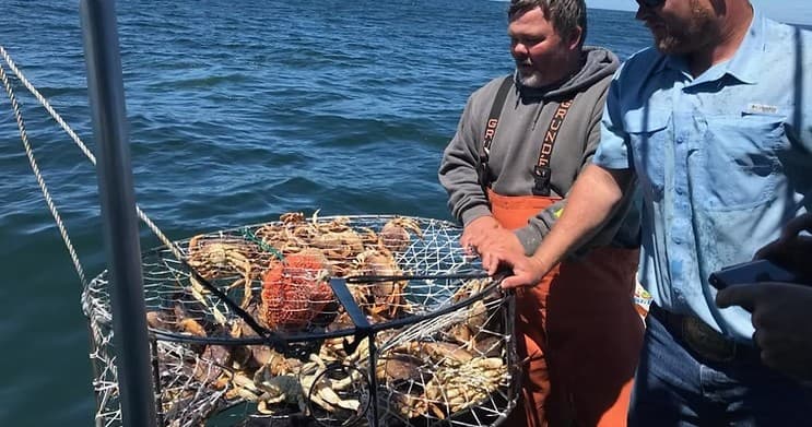 Hands-On Crabbing Trip Near Roseburg, Oregon — 1-Hour Charter