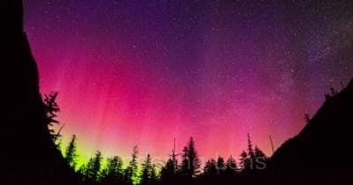 Night sky aurora above pine forest at Apukka Resort lodge