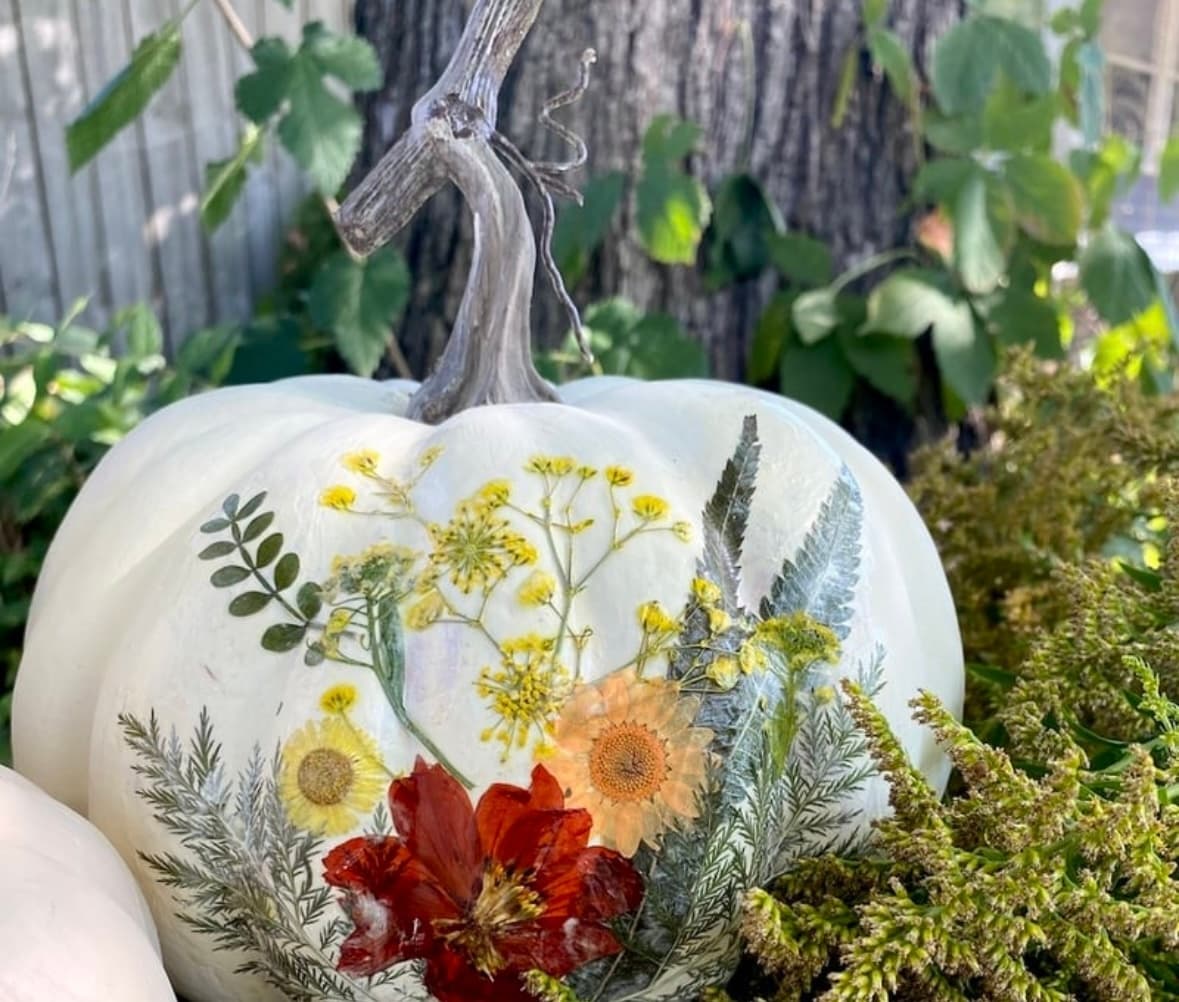 Celebrate Autumn Creativity at Rosebridge Farm’s Pumpkin Decorating Workshop