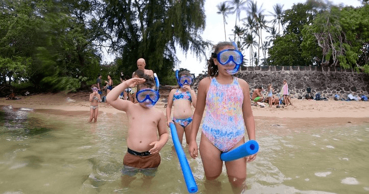 Explore Oahu’s North Shore: Full Day Bus Tour Adventure