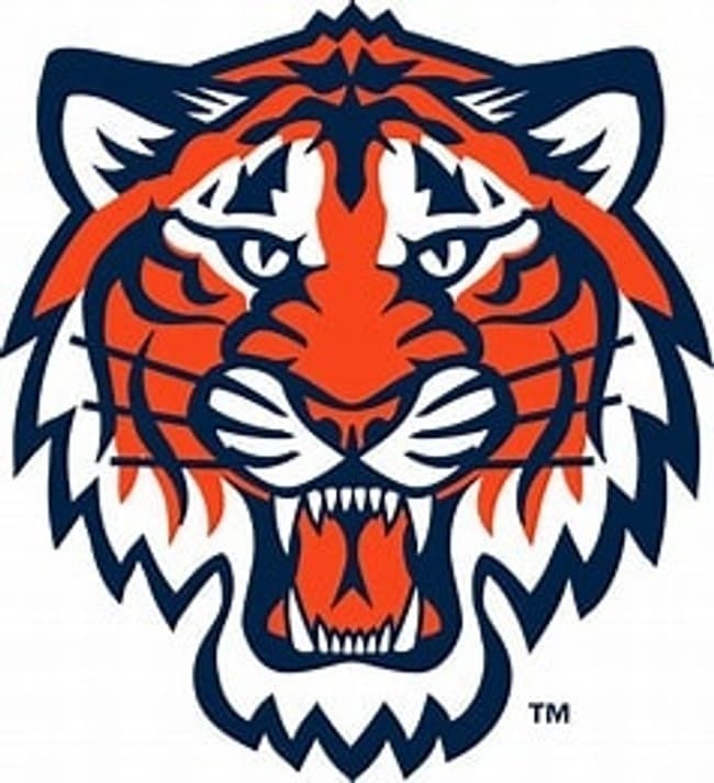 Baseball Trip with Beyond Horizons Tours in Detroit