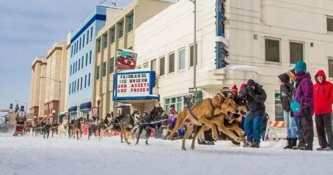 Dog Sledding Near Fairbanks: Private Mushing Adventure in North Pole