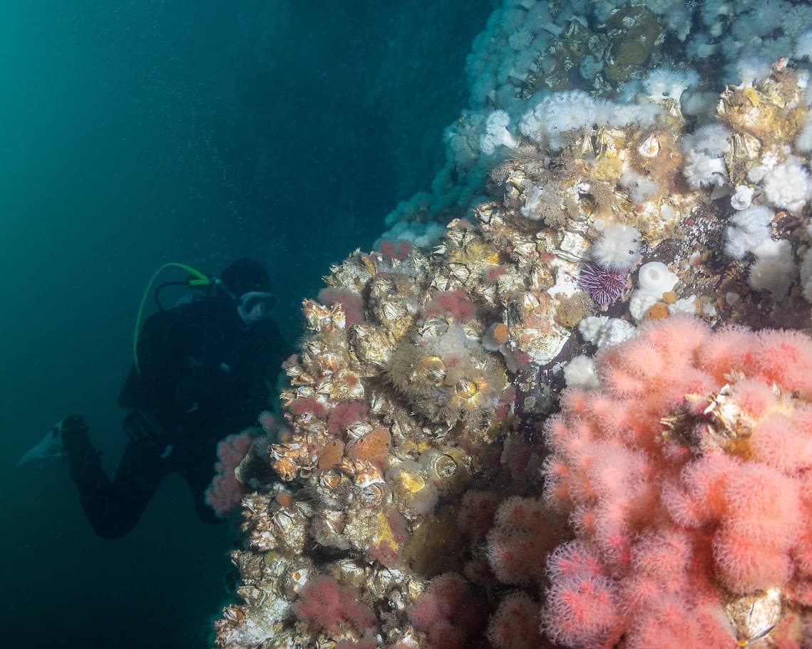 Scuba & Kayaking Adventure at Exotic Aquatics in [Location]