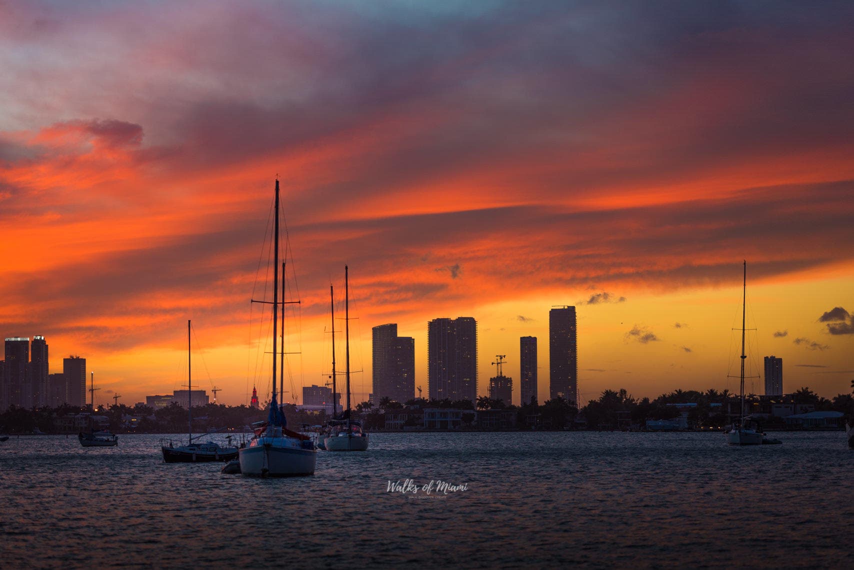 Sailboats anchored with Miami skyline at vibrant sunset harbor