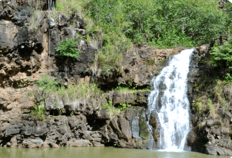 Sightseeing Tour in Waipahu, Hawaii