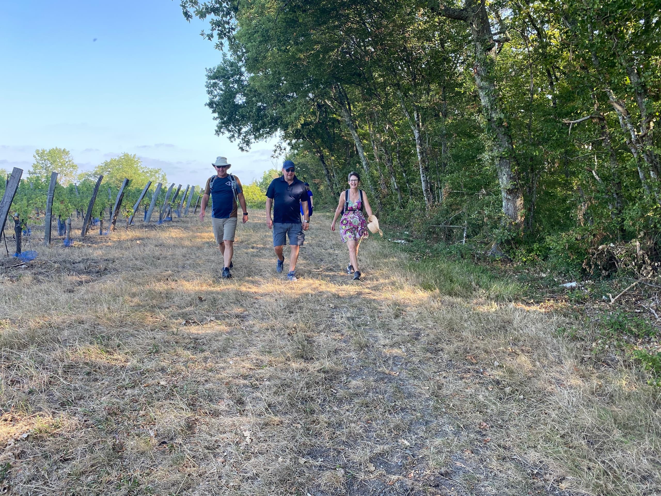 Vineyard Walking Tour with Chateau Feely in Saussignac