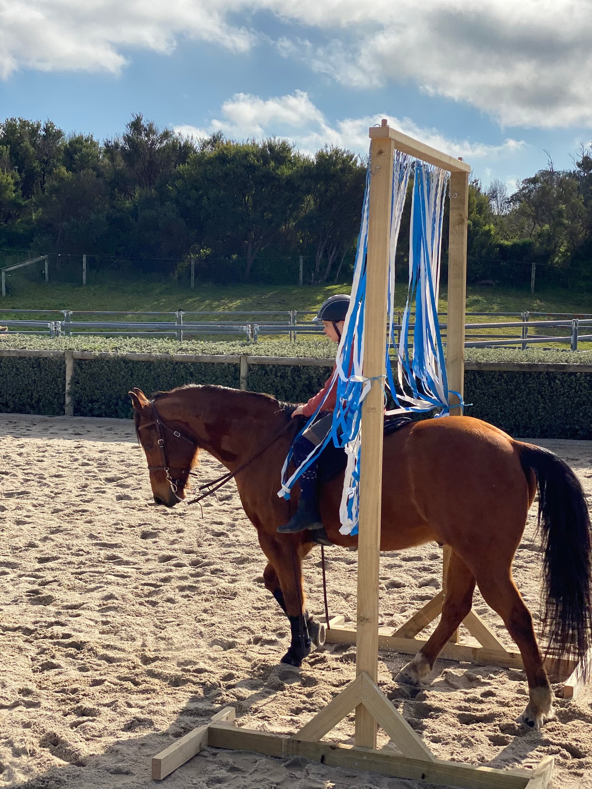 Horsemanship Clinic by Gunnamatta Trail Rides in Fingal