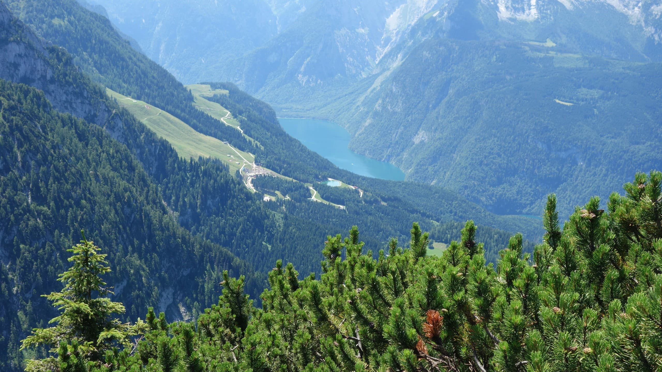 Eagle's Nest Kehlsteinhaus Day Tour: Berchtesgaden History and Alpine Views