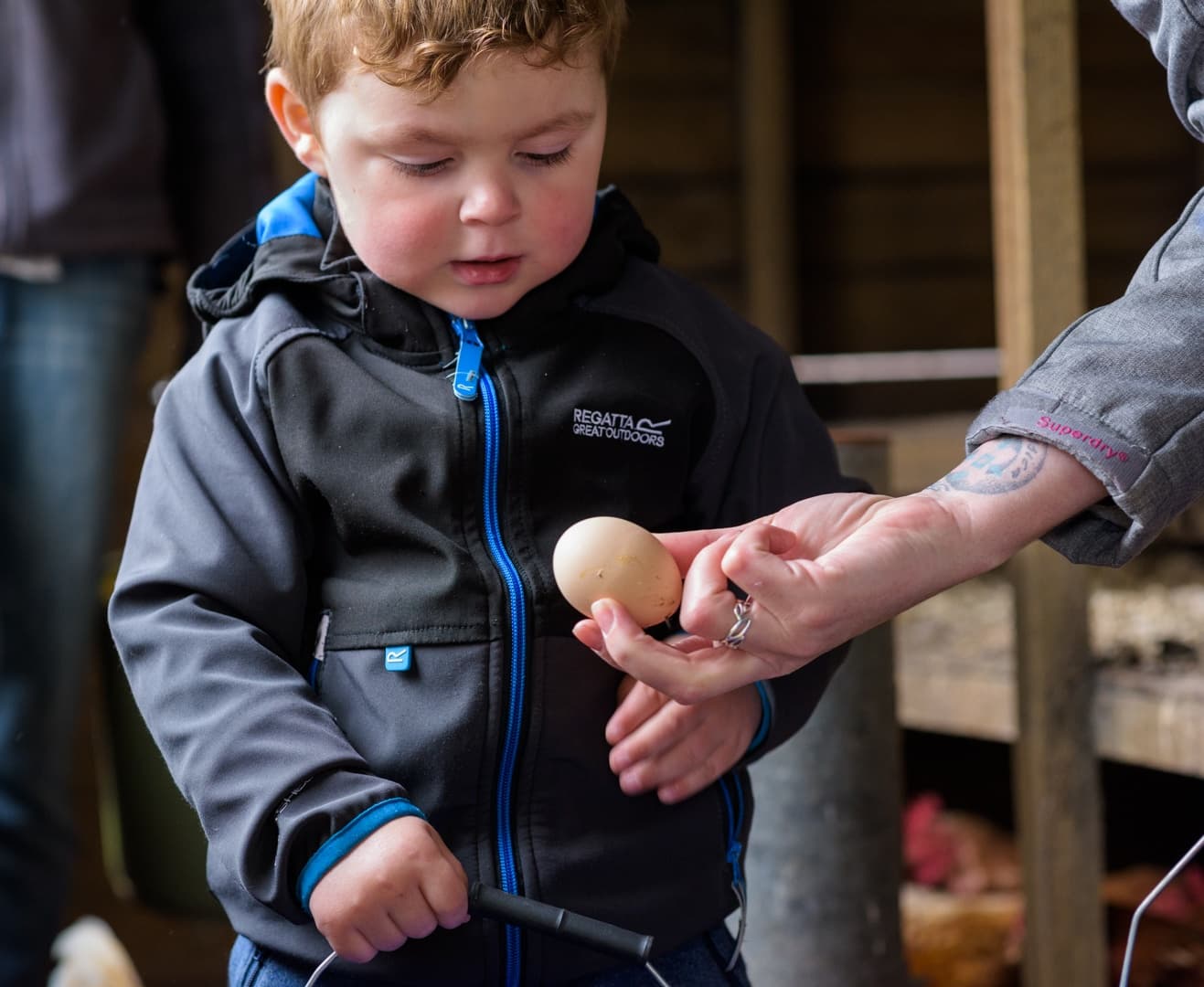 Muddy Explorers Spring — Hands-On Homeschool Farm Sessions in Inverarity, Scotland photo 2