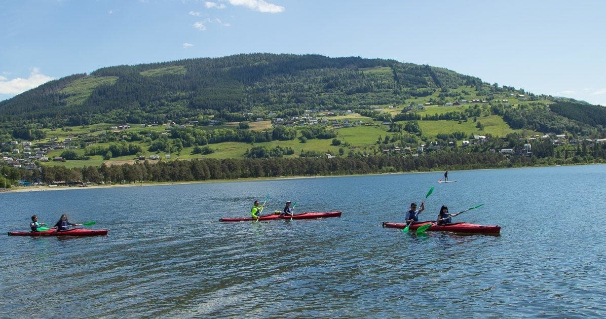 Group kayaking across serene fjord with reflective water surface