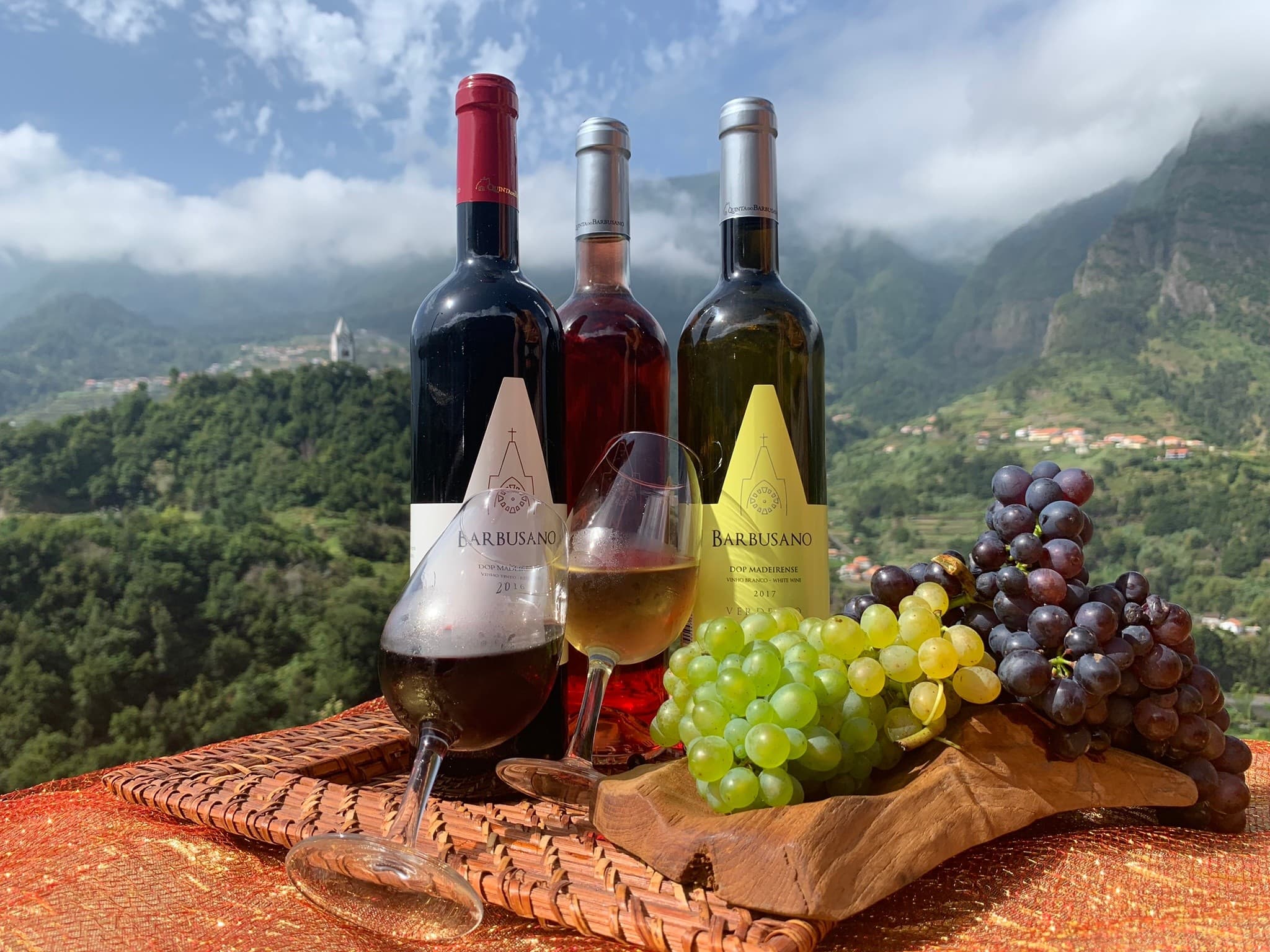 Madeira Wine Tasting & Jeep Nature Expedition from Funchal to Cabo Girão photo 1