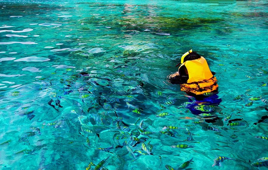 Weekly Snorkel Gear Rental in Kailua-Kona, Hawaii