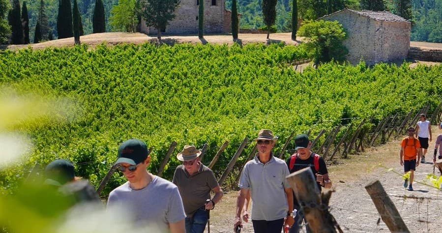 Fonterutoli Trekking & Wine Tasting | Guided Tour in Fonterutoli | Hiking, Food Tour, Private, Wine