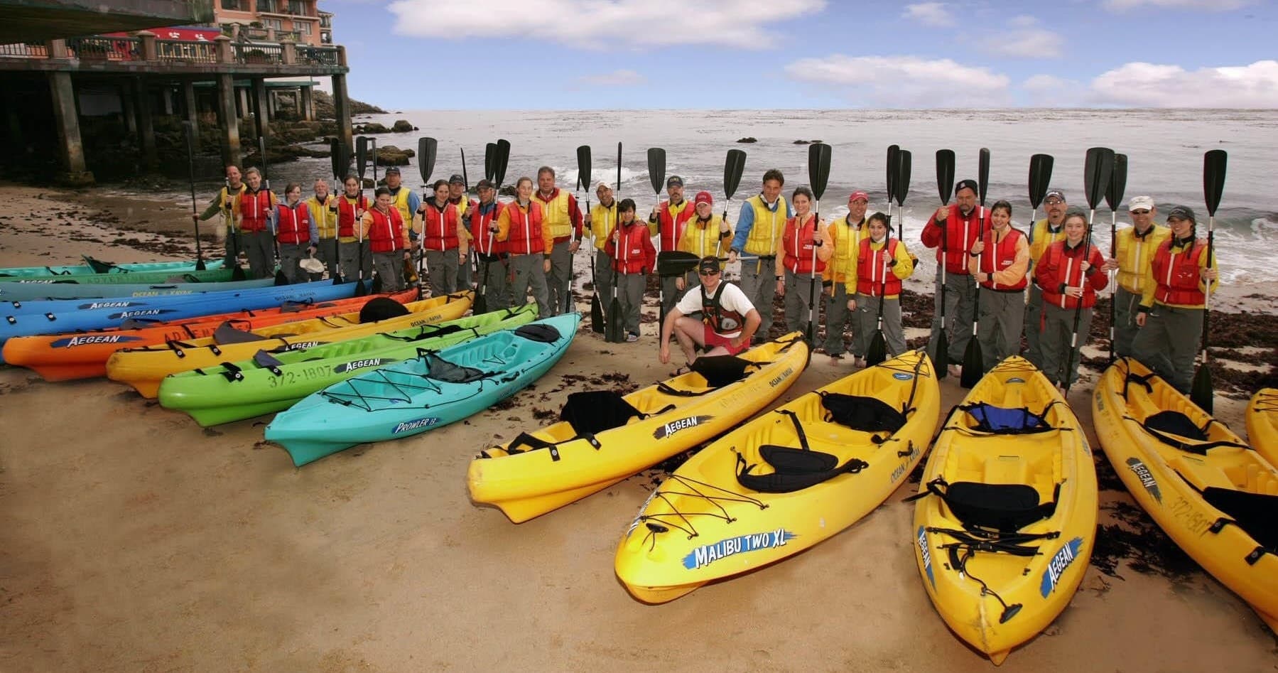 Colorful sea kayaks lined on sandy beach for guided tours