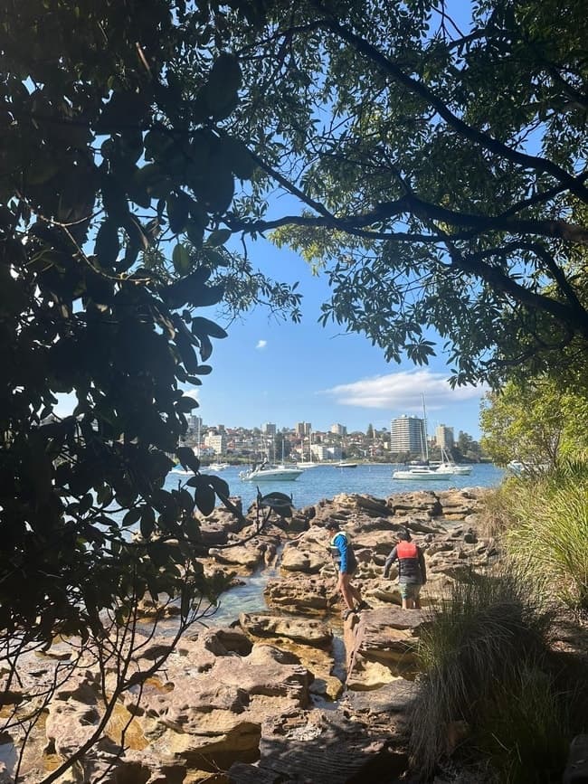Manly 3-Day Teens Holiday Camp: Sailing, Windsurfing & Kayaking in Sydney Harbour photo 3