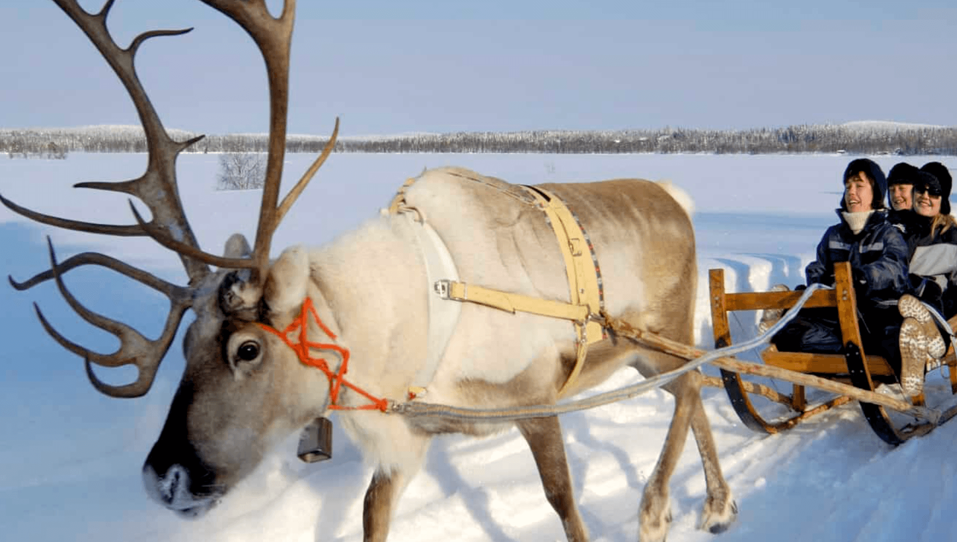 Snowmobile Safari and Reindeer Ride: Arctic Snow Trails & Sámi Camp Experience