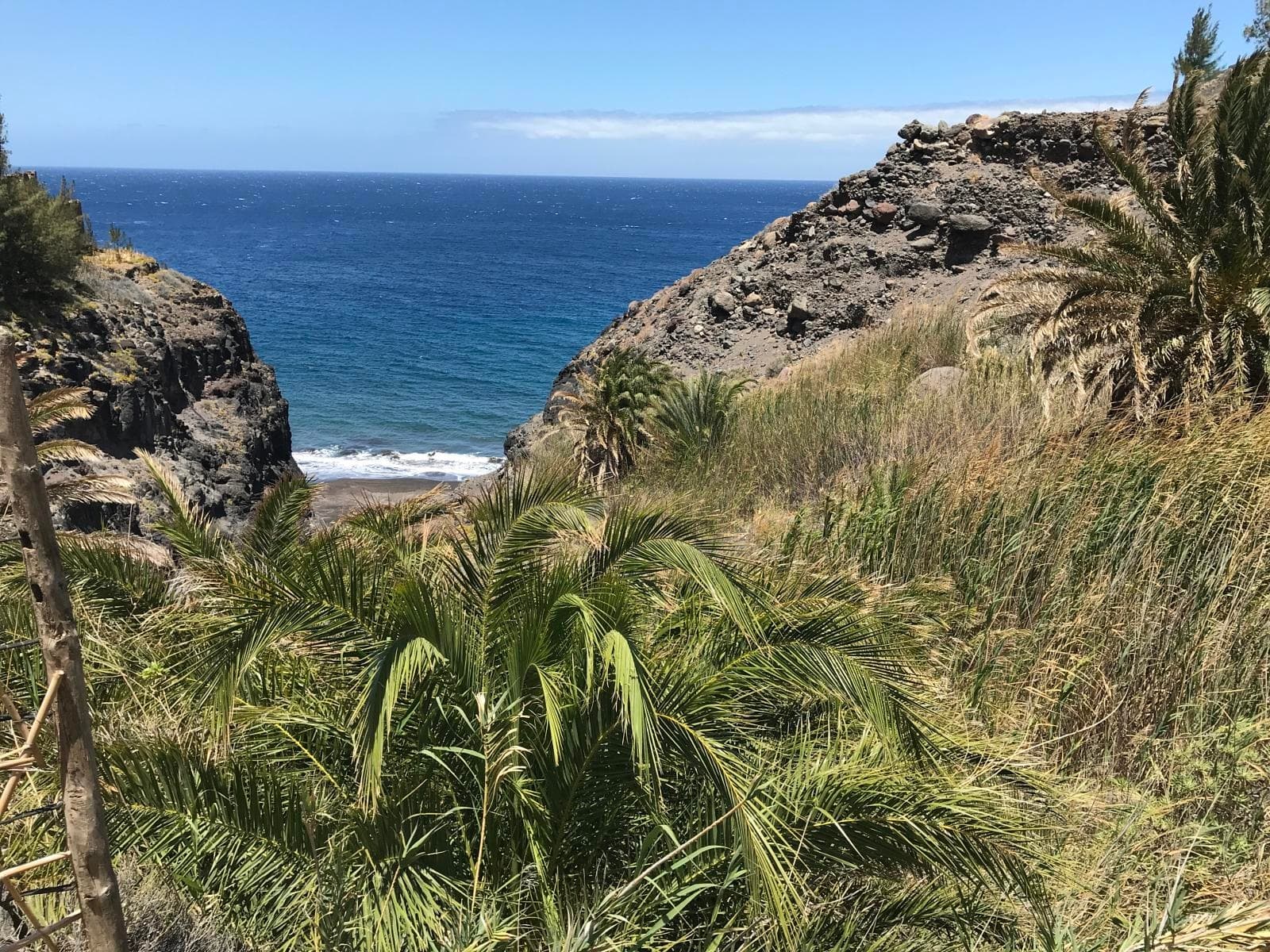 Palm-fringed coastal cove with ocean view for scenic hiking