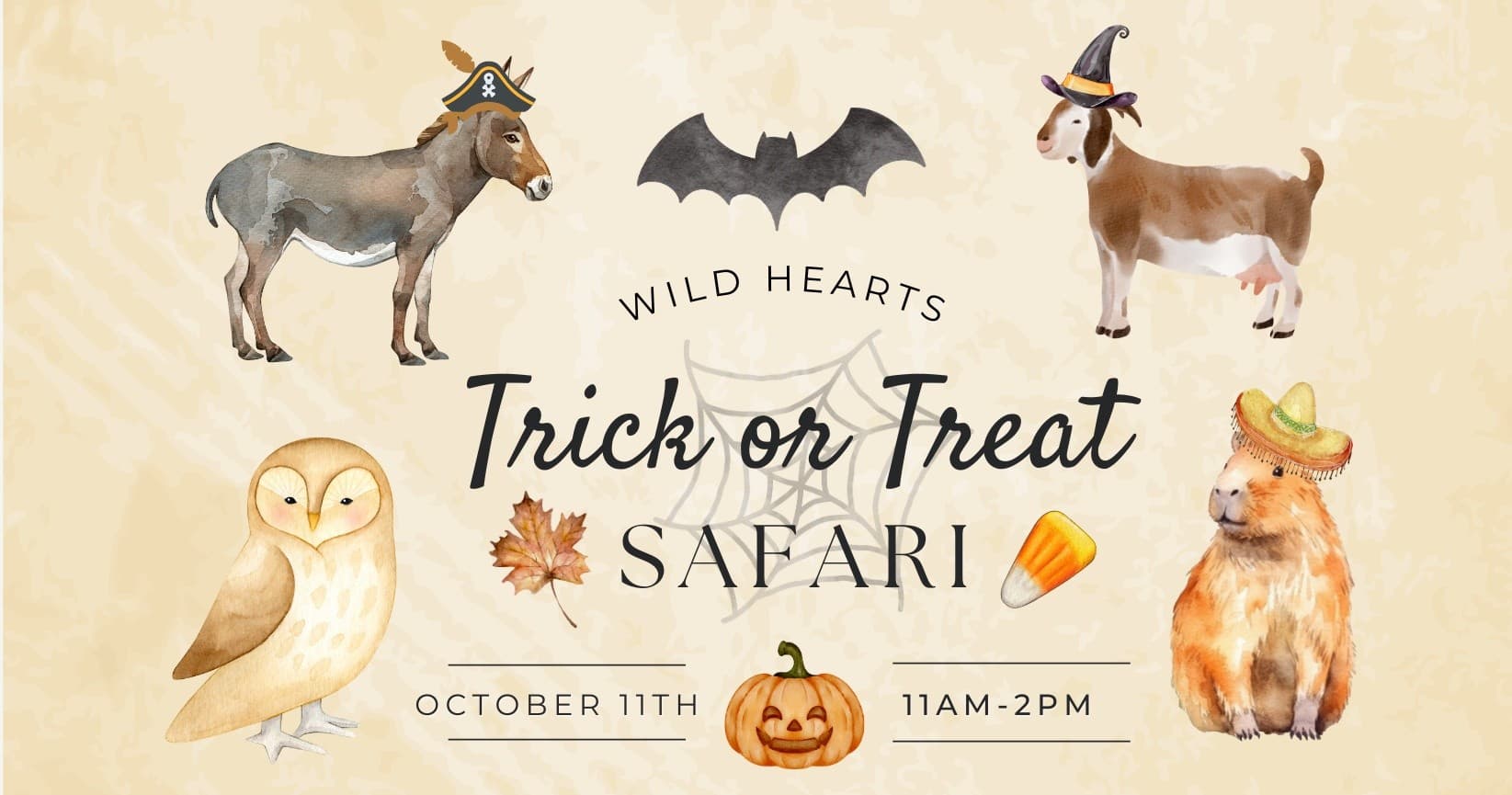 Trick or Treat Safari at Wild Hearts African Farm