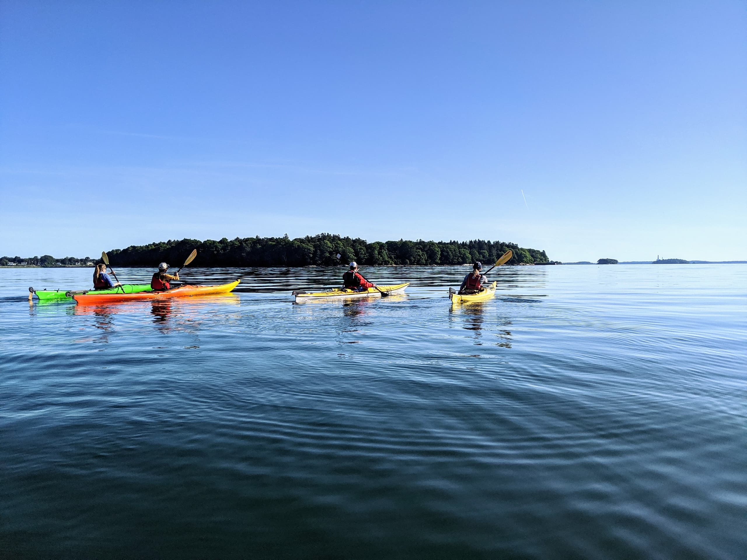 Portland Paddle fleet